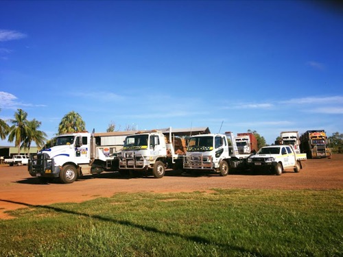 Patow 24 hr Tilt trays